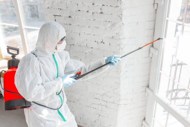 Best Mold Odor Removal Services  in Leavittsburg, OH